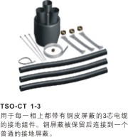 TSO-CT 1-3