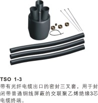 TSO1-3