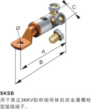 SKSB